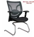 Brise cbrp55 Silver.jpg